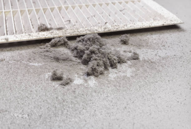 Best Local Air Duct Cleaning Services  in Arnold Line, MS